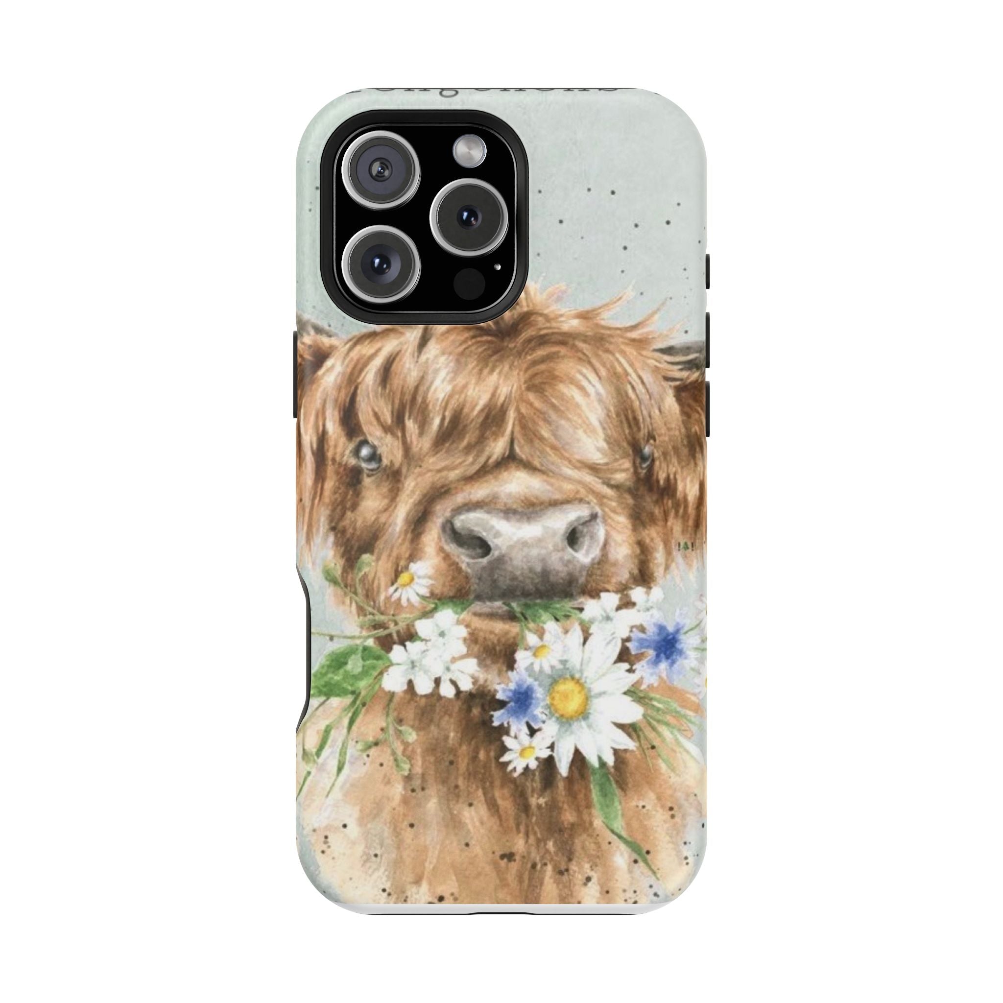 Magnetic Impact-Resistant Cases