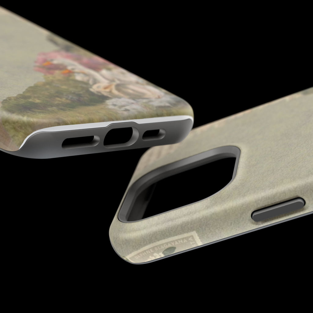 Magnetic Impact-Resistant Cases