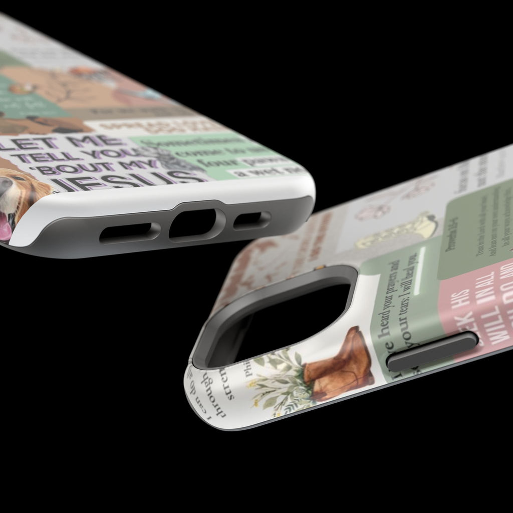 Magnetic Impact-Resistant Cases
