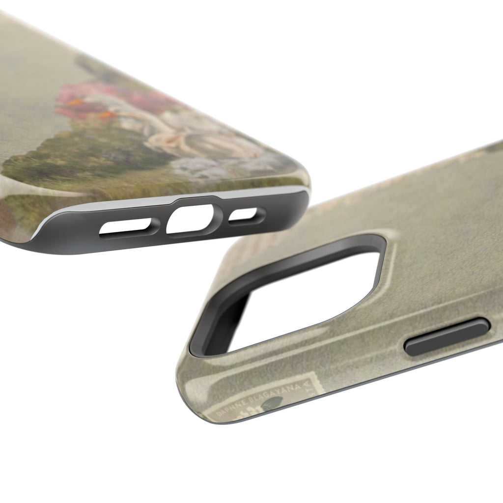 Magnetic Impact-Resistant Cases